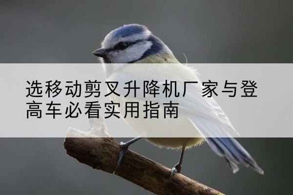 娄烦电动升降机厂家-选移动剪叉升降机厂家与登高车必看实用指南