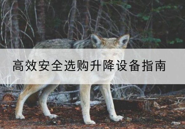 娄烦升降货梯厂家推荐-*安全选购升降设备指南
